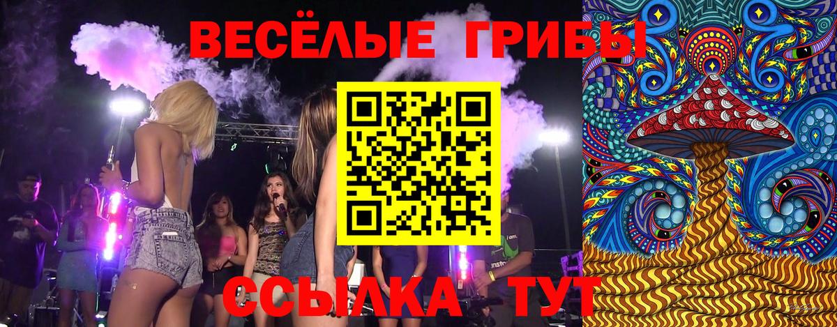 Псилоцибиновые грибы GOLDEN TEACHER Сокол